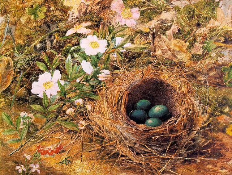 Hill, John William Bird's Nest and Dogroses France oil painting art